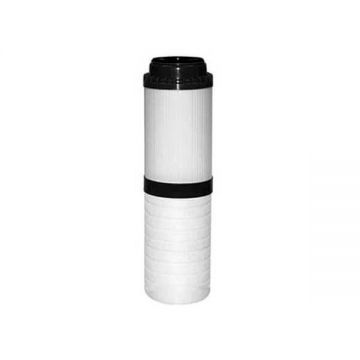 Cartus din carbune activat granular si polipropilena, 2 stadii, standard (10"x2.5")